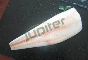 Fagyasztott Pacific csendes filé