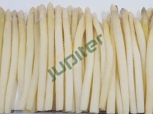 Frozen White Asparagus Spears S Grade
